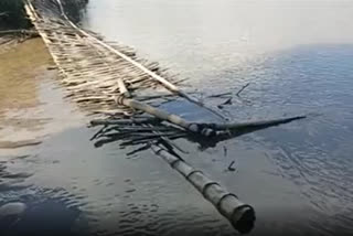 Bamboo bridge