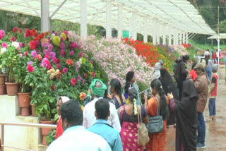 ooty  second season in ooty  ooty tourist places  ooty season  crowd in ooty  ooty garden  உதகை  ஊட்டி  ஊட்டி பூங்கா  ஊட்டி இரண்டாவது சீசன்  சுற்றுலா