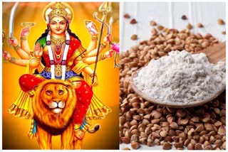 Why buckwheat flour eaten during Navratri