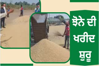 Paddy procurement in Punjab starts from October 1