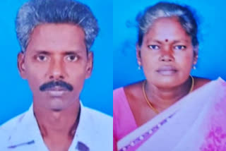 electric shock  husband and wife died  ranipet  ranipet electric shock  கணவன் மனைவி பலி  மின்கம்பி  மின்சாரம்  ராணிப்பேட்டை  மின்சாரம் தாக்கி பலி