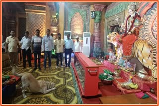 Tiger of BDDS visited Durgeshwari in Thane