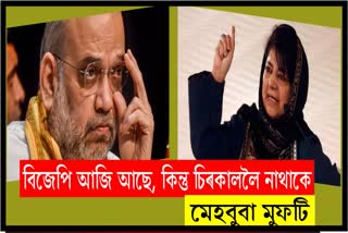 Mehbooba Mufti statement before amit shah Jammu and Kashmir visit