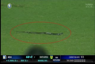 snake-interrupts-play-during-second-ind-sa-t20i