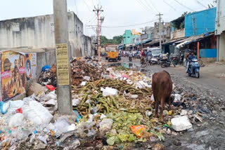 வீடியோ:காஞ்சிபுரம் ராஜாஜி காய்கறி மார்க்கெட்டில் மலைபோல் துவிந்துள்ள குப்பை- மாநகராட்சி மெத்தனம்!