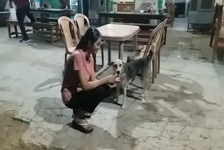 Himanshi gives food to street dog