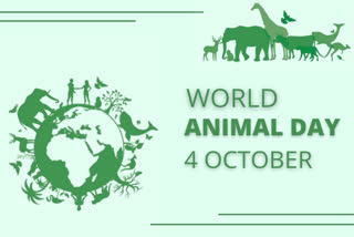 World Animal Day 2022