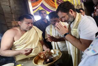 राहुल ने कर्नाटक सरकार को देश में सबसे भ्रष्ट बताया, मैसुरु में यात्रा में दिखा उत्सव का रंग