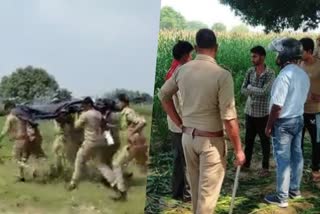 UTTAR PRADESH  NAKED BODY OF TEENAGE GIRL FOUND IN FIELD  FAMILY ALLEGES RAPE MURDER  RAPE  MURDER  UTTAR PRADESH RAPE VICTIM  ഔറയ്യ  ഉത്തർ പ്രദേശ്  മൃതദേഹം നഗ്നമായ നിലയിൽ പാടത്ത്  ഉത്തർപ്രദേശിൽ പതിനേഴ്‌കാരിയുടെ മൃതദേഹം  പതിനേഴ്‌കാരിയുടെ മൃതദേഹം  ദിബിയാപൂർ