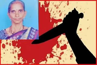Wife Killing Palghar