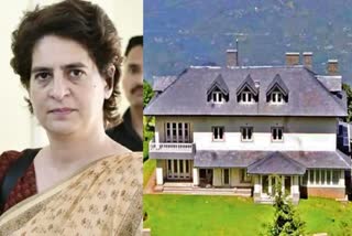 priyanka gandhi vadra reached shimla