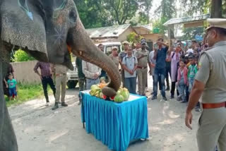 Corbett Tiger Reserve