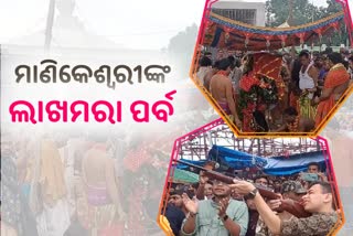 ବିଜୟା ଦଶମୀରେ ମାଣିକେଶ୍ୱରୀଙ୍କ ପୀଠରେ ଲାଖମରା ପର୍ବ