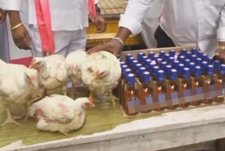 TRS functionaries distributes alcohol and chicken as Dussehra gifts in Warangal