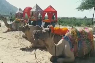 Pushkar Cattle Fair