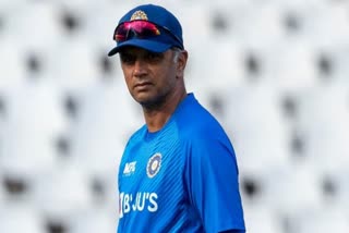 T20 world cup  Rahul Dravid  Rahul Dravid on indian team  ടി20 ലോകകപ്പ്  രാഹുല്‍ ദ്രാവിഡ്  ഇന്ത്യന്‍ ക്രിക്കറ്റ് ടീം  Indian cricket team