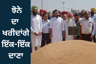 Minister Meet Hare started procurement of paddy in Barnala, promised to provide all facilities to the farmers.