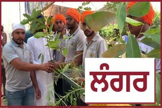 Langar of books and plants in Laher Kalan