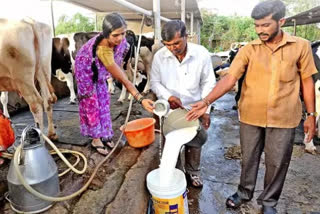 Demand of Milk Producer Farmers