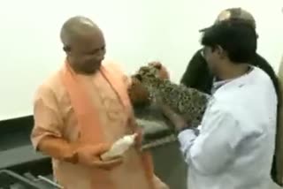 Uttar Pradesh CM Yogi Adityanath feeds milk to leopard cubs in Gorakhpur