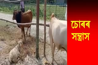 Thief incident in Bongaigaon