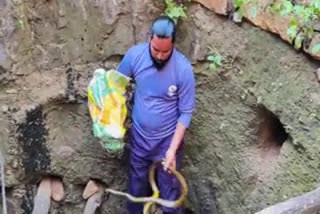 MP Shivpuri Snake Rescue