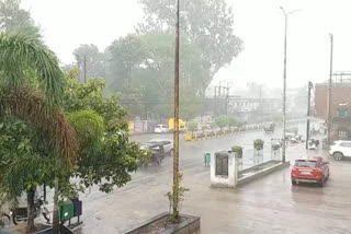 MP Shahdol Heavy rain
