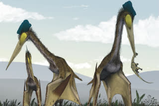 Fossil reveals Pterosaur relatives before they evolved wings: Study