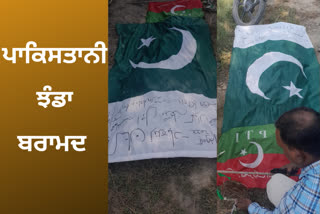 Pakistani flag found hanging from a tree