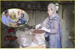 ganderbal-girl-urba-shafiq-grows-organic-mushroom-at-home