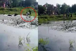 woman beat by drowning