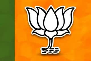 bjp-strategy-for-state-assembly-elections