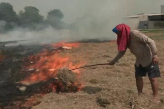 Stubble burning continues in Punjab