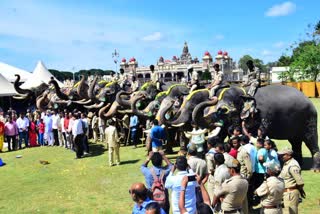 ದಸರಾ ಗಜಪಡೆಗೆ ಸಾಂಪ್ರದಾಯಿಕ ಬೀಳ್ಕೊಡುಗೆ