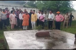 Tomb in CM Rise School