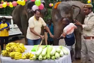 Hathini Rajni birthday celebration in Dalma Wildlife Sanctuary seraikela