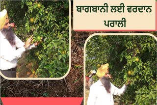 Dr Gurtej Singh an expert in fruit science of Punjab Agricultural University