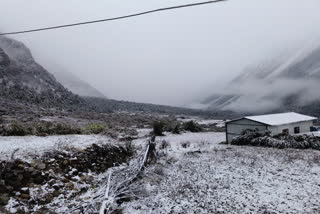 Heavy snowfall in Pithoragarh