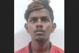 Punalur teenage girl rape  culprit arrested  16കാരിയെ പീഡിപ്പിച്ച് ഗർഭിണിയാക്കിയ 20 കാരന്‍  പത്തനംതിട്ട  കൊല്ലം പുനലൂർ കരവാളൂർ  Kollam Punalur Karavalur  കൗമാരക്കാരിയെ പീഡിപ്പിച്ച് ഗര്‍ഭിണിയാക്കി  poccso case pathanamthitta culprit arrested