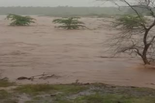 shivpuri kuno river flood people trapped