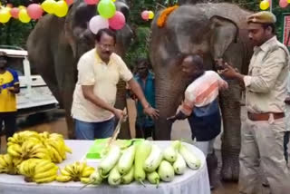 Elephant Rajni birthday bash