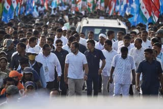 Bharat Jodo yatra In MP