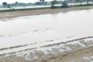 Demand of compensation for ruined crops