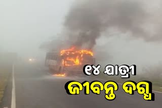 Private Bus catches fire: ନାଶିକରେ ଘରୋଇ ଯାତ୍ରୀବାହୀ ବସରେ ଅଗ୍ନିକାଣ୍ଡ, ୧୪ ଯାତ୍ରୀ ମୃତ