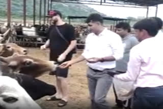 American youth serving cows in Alwar, Nagar Parishad praising his decision