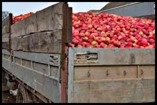 Truck missing with 650 apple boxes.