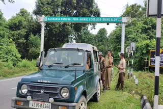 Forest officers search for rhino in Kaziranga