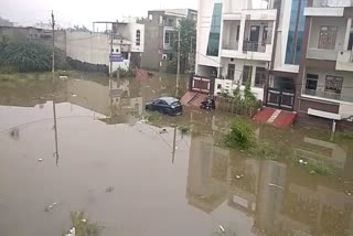 Continuous Rainfall in Bharatpur