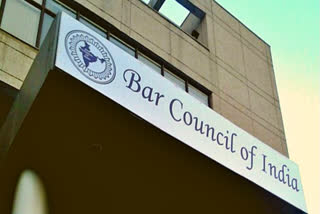 Letter against SC judge malicious, baseless: Bar Council of India