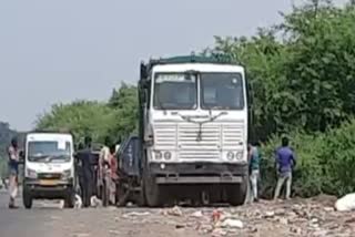 jabalpur african swine flu collector